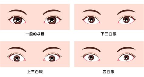 桃花眼 三白眼|桃花眼とは？意味と読み方＆二重/一重別魅惑の色っ。